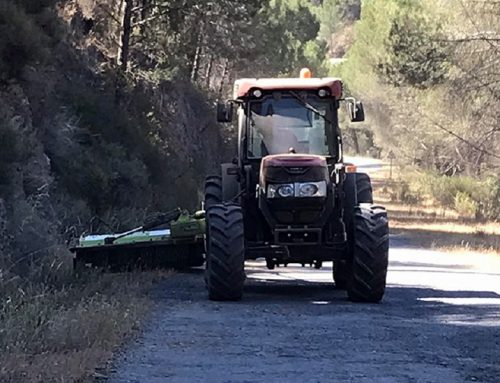 Desbroce de caminos rurales para la Diputación de Huelva